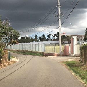 Meet your Posher, Rodney